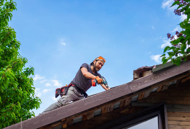 Best Asphalt Shingle Roofing  in Newton, MS