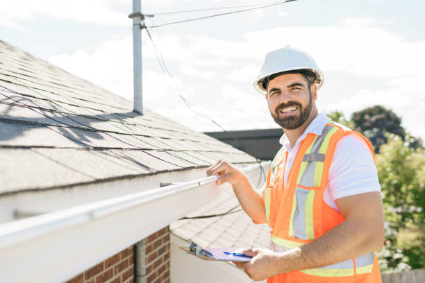 Best Roof Insulation Installation  in Newton, MS
